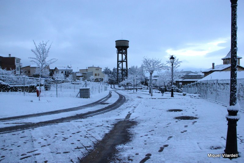 nevadafebrer2012