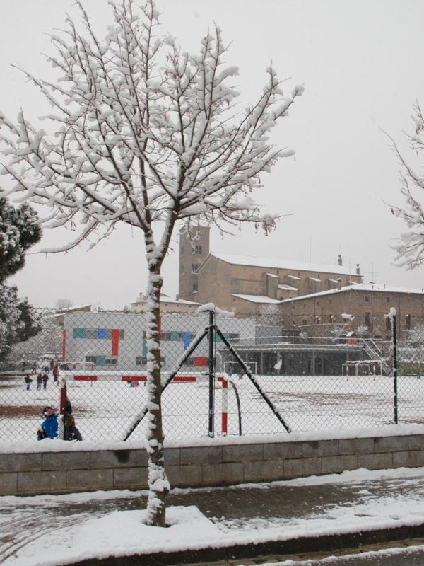 nevadafebrer20122