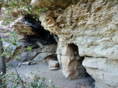 Dijous comença el Cicle Cultura en Marxa amb un recorregut pels forns de pa de Taradell