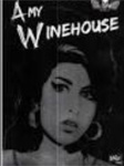 llibre-amy-winehouse