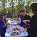 Els veïns de la Plaça del Sol de Taradell celebren la seva 27a Festa