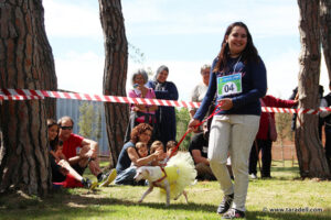 9a-festa-civisme-20172