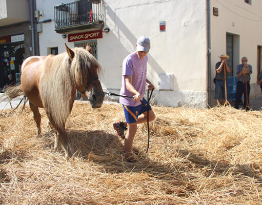 Les Jornades de Patrimoni 2026 posen el focus en la ratafia i les herbes remeieres