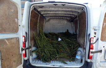 Intercepten una furgoneta a Taradell amb 471 plantes de marihuana i descobreixen una plantació en un domicili